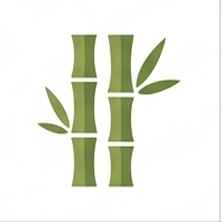 Bamboo