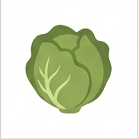 Cabbage