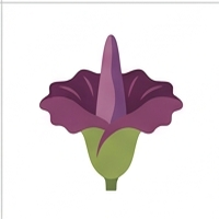 Titan Bloom